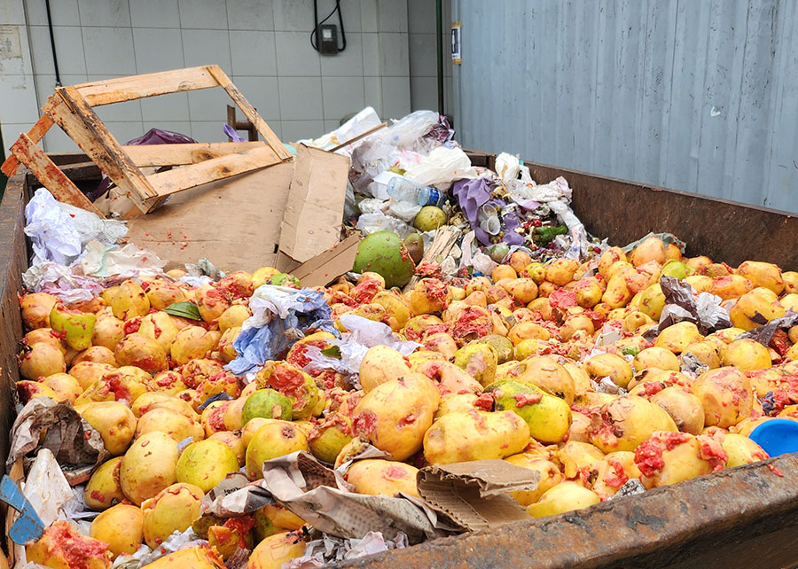 Novo sistema aumenta a produção de biogás a partir de resíduos de frutas e verduras